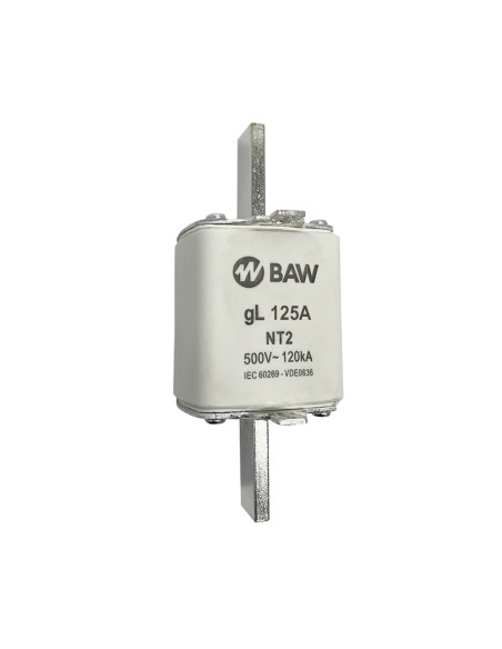 Fusible Acr Nt2 In125a Gl Icc 120ka