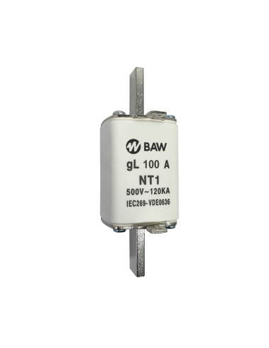 Fusible Acr Nt1 In100a Gl Icc 120ka